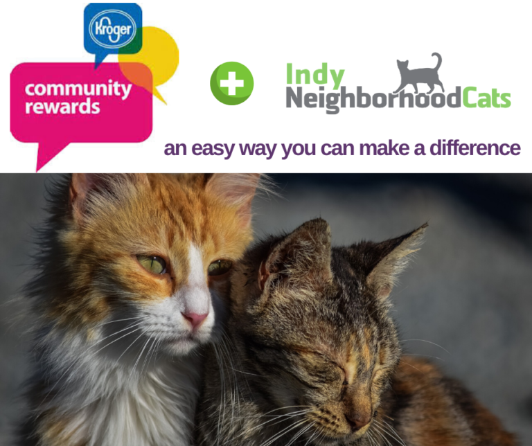 Donate Indy Neighborhood Cats